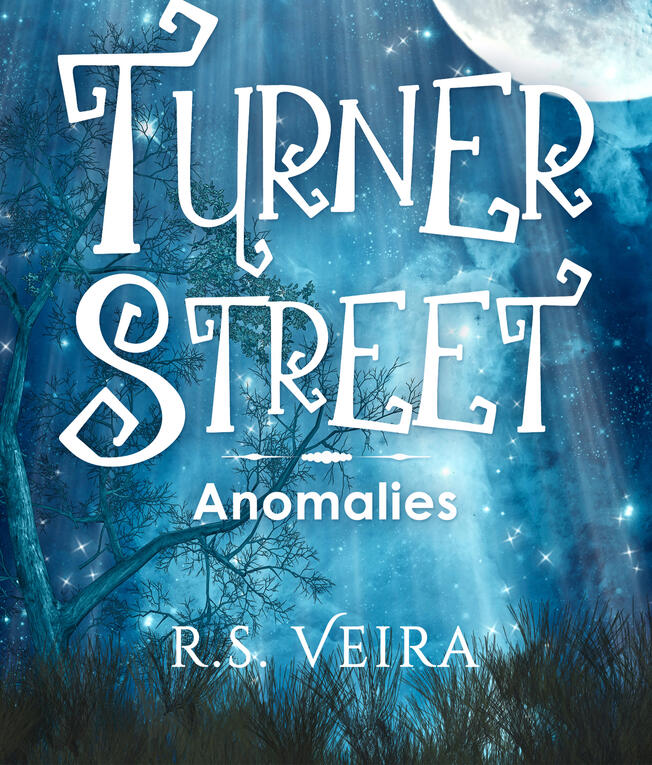 Turner Street Book 3 Turner Street Book 3